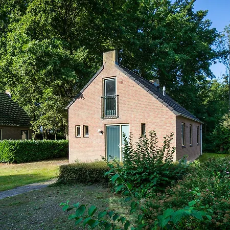 6 - Persoons Forest 185 *