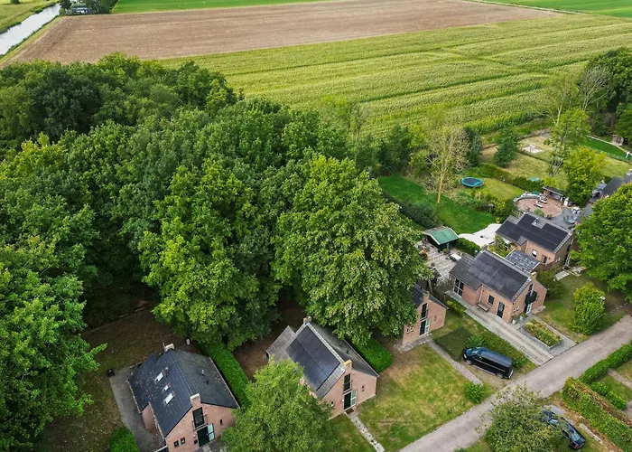 6 - Persoons Forest 185 *